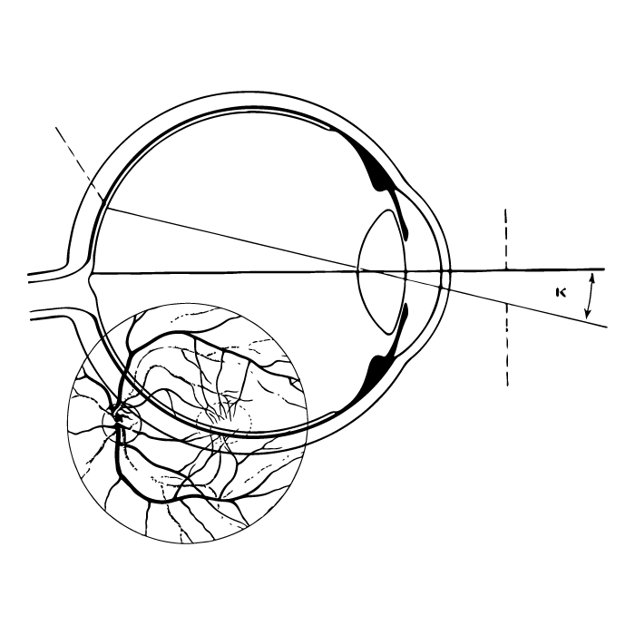 The Principle Guiding EquifHIT-Taevas